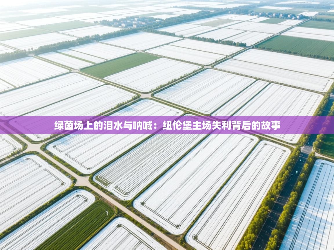 绿茵场上的泪水与呐喊：纽伦堡主场失利背后的故事  第1张