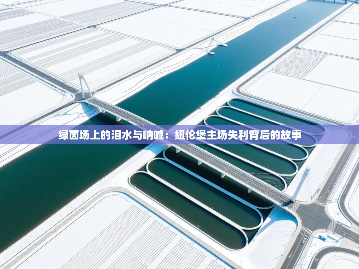 绿茵场上的泪水与呐喊：纽伦堡主场失利背后的故事  第2张