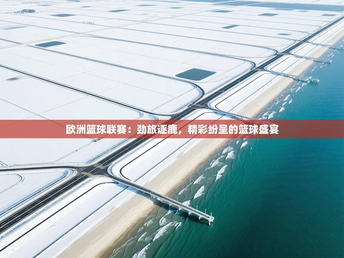 欧洲篮球联赛：劲旅逐鹿，精彩纷呈的篮球盛宴